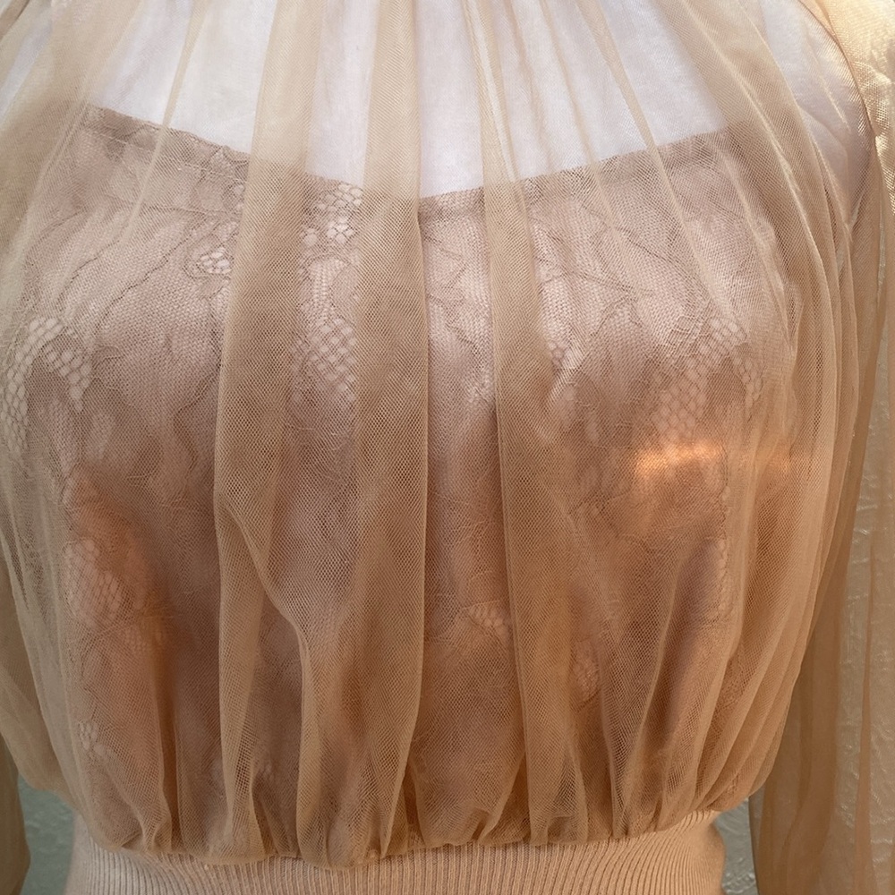 Lily Brown Mesh Elegant Sheer Tan Blouse, Light Brown Blouse,Strapless Blouse - Picture 4 of 12